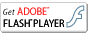 Flash Player